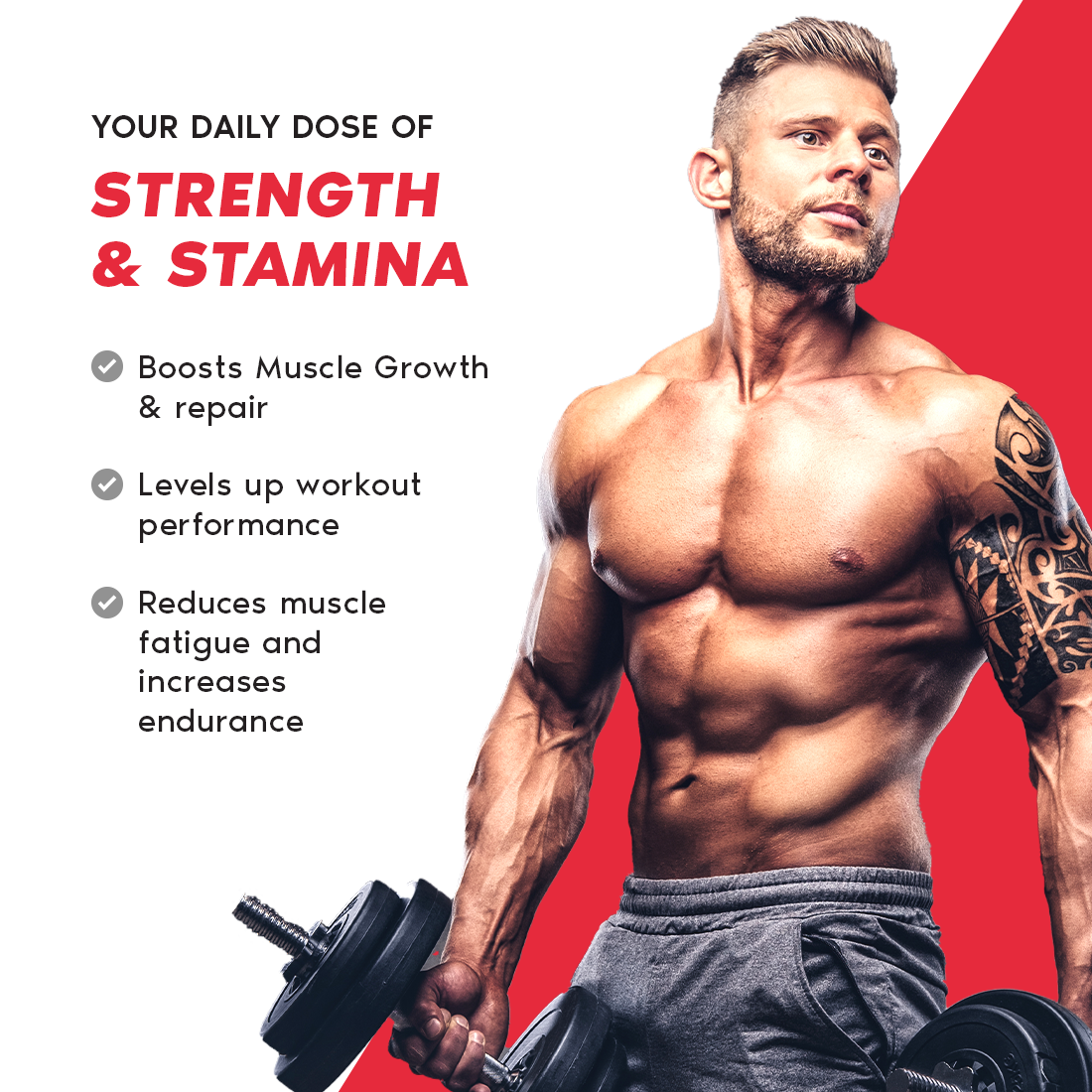100% Whey Protein - Custard Vanilla