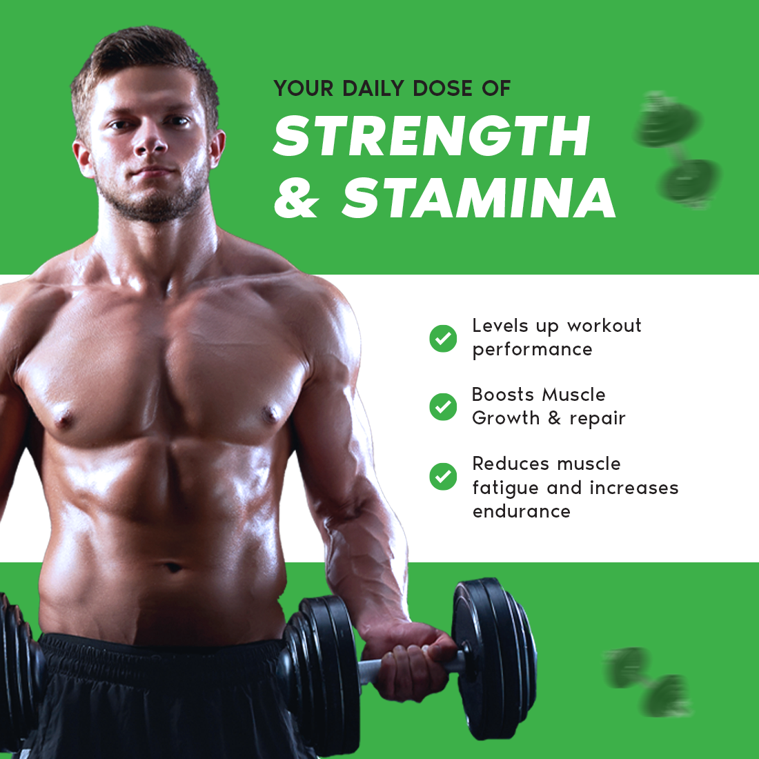 Amplify Whey Blend - Kulfi