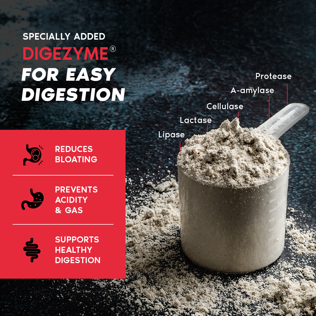 100 % Whey Protein  - Single Serve Box